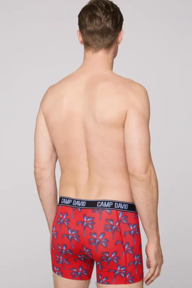 Herren CAMP DAVID & SOCCX Boxershorts mit All Over Print, 2er-Pack surf grey / red